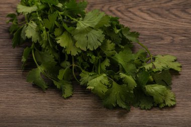 Aroma yeşil kişniş ya da kişniş yaprağı yığını