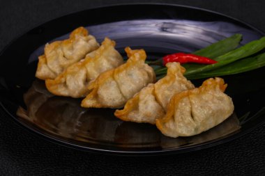Geleneksel Japon mutfağı Gyoza köfteleri et ve deniz ürünleri.