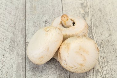 Raw Champignon hurdalığı yemek yapmaya hazır.