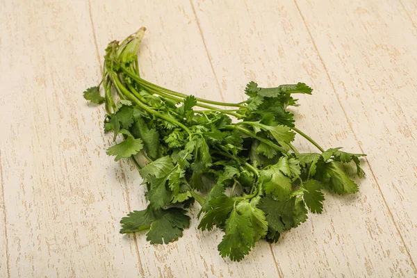 Aroma Cilantro Verde Cilantro Hojas Montón — Foto de Stock