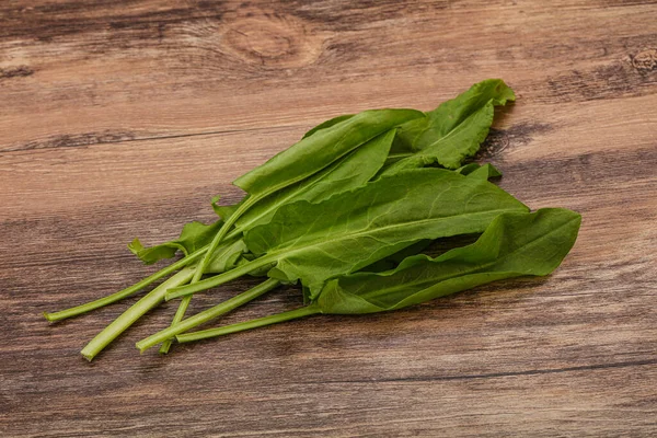 Aroma Färska Gröna Sorrel Ört Hög — Stockfoto