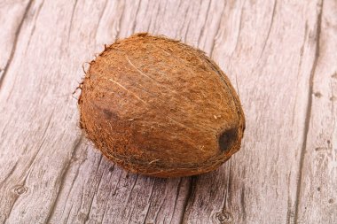 Arka planda tropik kahverengi hindistan cevizi izole edildi