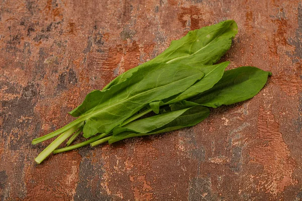 Aroma Frisch Grüner Sauerampfer Kräuterhaufen — Stockfoto