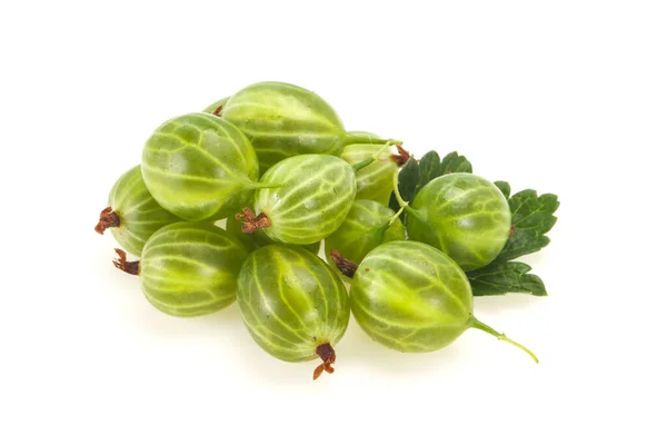 Frische Reife Grüne Süße Stachelbeere Mit Blatt — Stockfoto