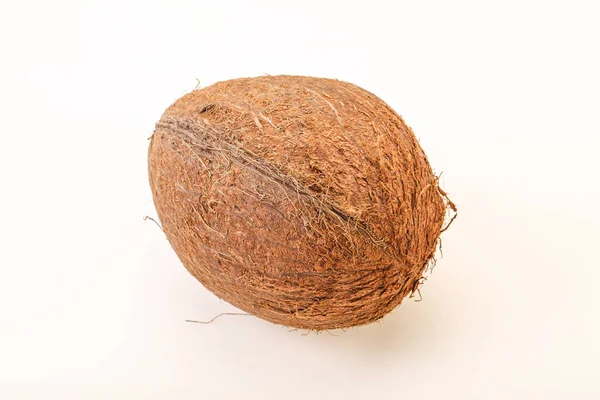 Tropisk Brun Kokos Över Bakgrund Isolerad — Stockfoto