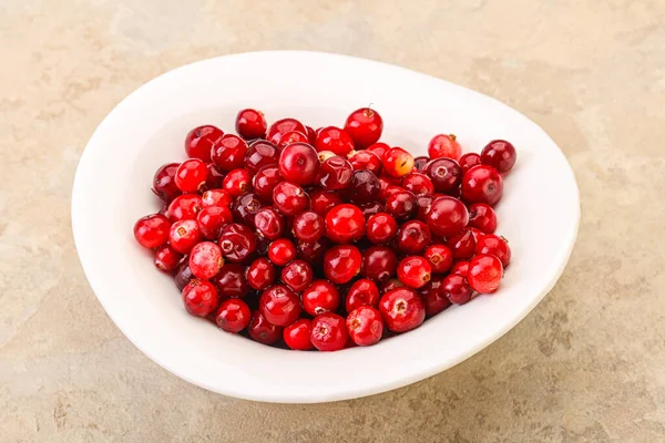 Cranberry Orgânico Doce Saboroso Tigela — Fotografia de Stock