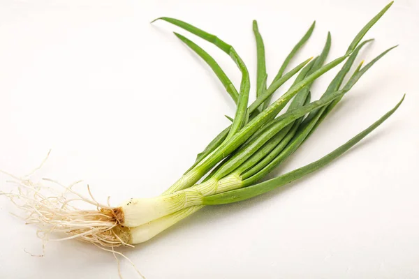 Young Fresh Tasty Green Onion Seasoning — Stock Photo, Image