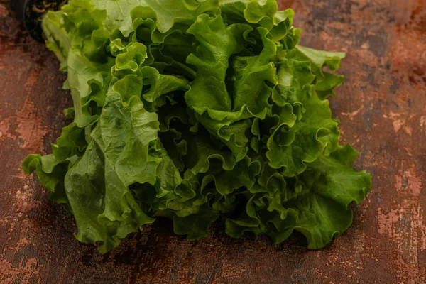 Cozinha Vegan Folhas Heap Salada Alface Verde — Fotografia de Stock