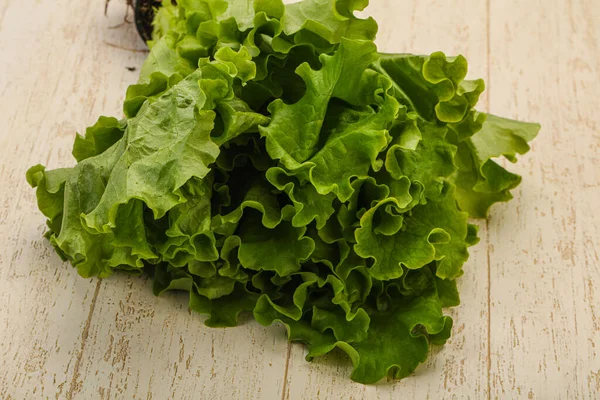 Cozinha Vegan Folhas Heap Salada Alface Verde — Fotografia de Stock