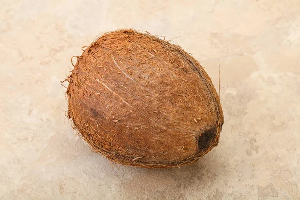 Tropikalny Brązowy Kokos Tle Izolowane — Zdjęcie stockowe
