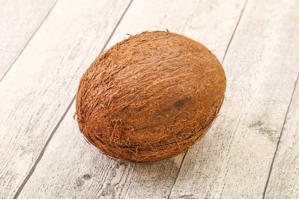 Tropikalny Brązowy Kokos Tle Izolowane — Zdjęcie stockowe