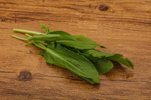 Aroma Färska Gröna Sorrel Ört Hög — Stockfoto