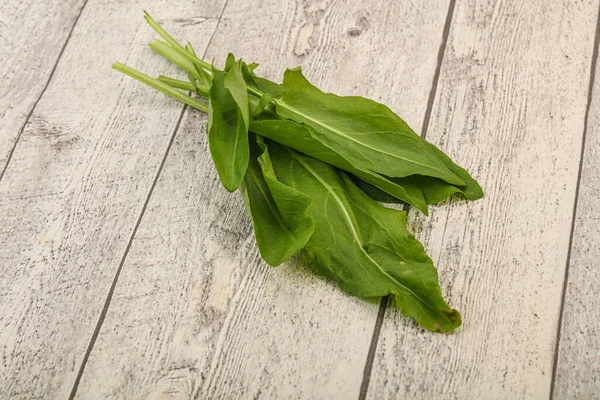 Aroma Fresh Green Sorrel Herb Heap — Stock Photo, Image