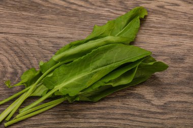 Aroma Taze yeşil kuş sürüsü