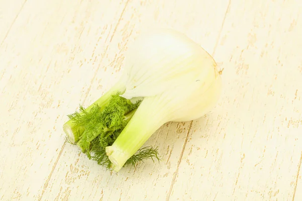 蔬菜有机食品 烹调用茴香根 — 图库照片