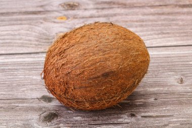 Arka planda tropik kahverengi hindistan cevizi izole edildi