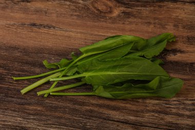 Aroma Taze yeşil kuş sürüsü