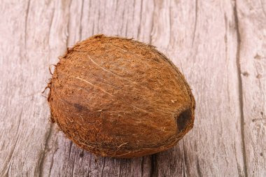 Arka planda tropik kahverengi hindistan cevizi izole edildi