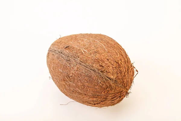 Tropical Brown Coconut Background Isolated — Stock Photo, Image