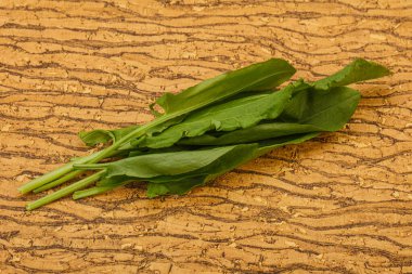 Aroma Taze yeşil kuş sürüsü