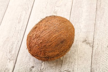 Arka planda tropik kahverengi hindistan cevizi izole edildi