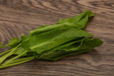 Aroma Taze yeşil kuş sürüsü