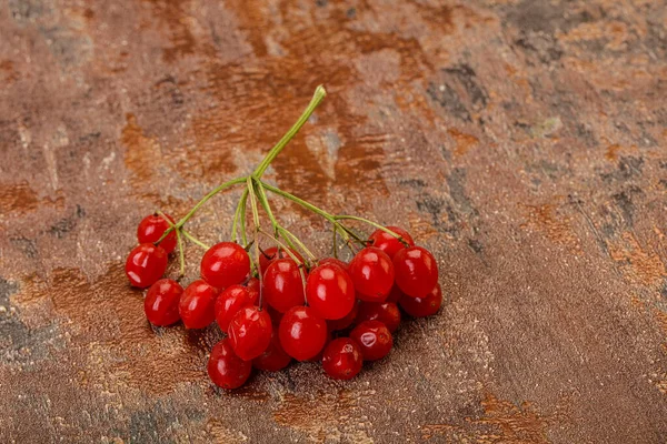 Червоний Солодкий Смачні Соковиті Ягоди Viburnum — стокове фото