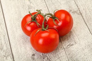 Kırmızı parlak olgun ve tatlı domates dalı