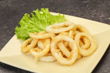 Kavrulmuş kalamar halkaları ve kasede salata.