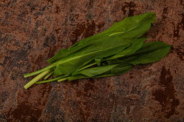 Aroma Taze yeşil kuş sürüsü