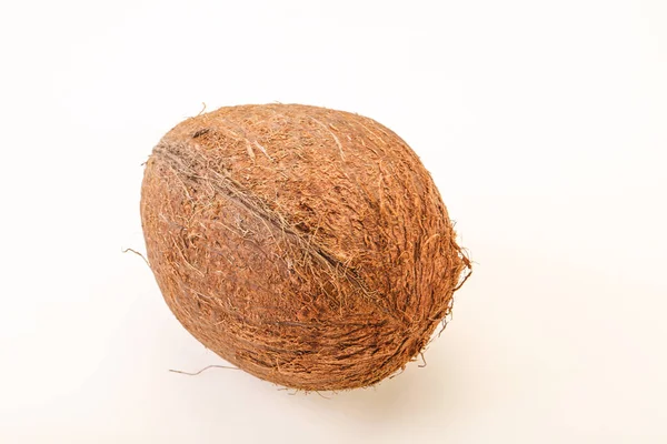 Tropical Brown Coconut Background Isolated — Stock Photo, Image