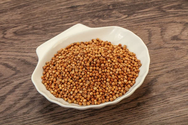Semințe Uscate Coriandru Castron — Fotografie, imagine de stoc