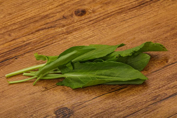 Aroma Friss Zöld Sóska Gyógynövény Halom — Stock Fotó