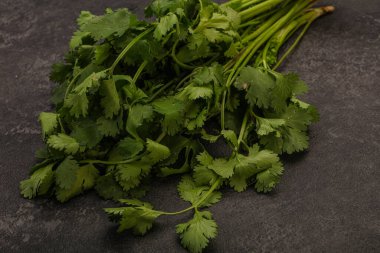 Aroma yeşil kişniş ya da kişniş yaprağı yığını