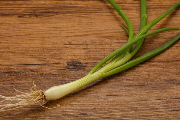 Jeunes Oignons Verts Frais Savoureux Assaisonnement — Photo