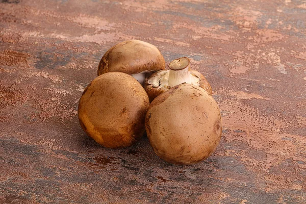 Champinhons Marrom Cru Monte Cogumelos Para Cozinhar — Fotografia de Stock