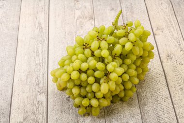 Arka planda tatlı yeşil üzüm dalı