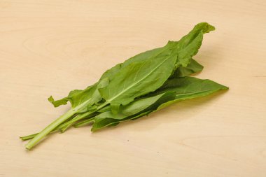 Aroma Taze yeşil kuş sürüsü