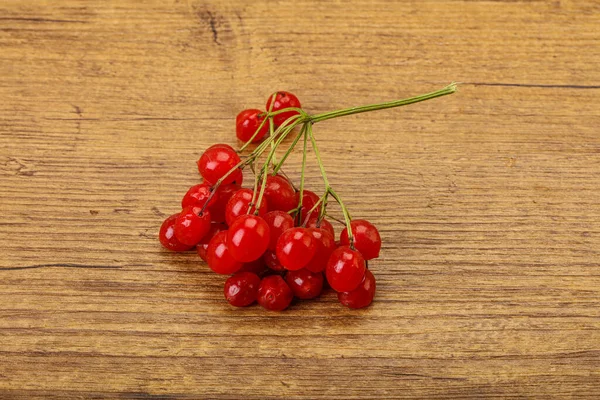 Kırmızı Tatlı Lezzetli Sulu Viburum Meyveleri — Stok fotoğraf