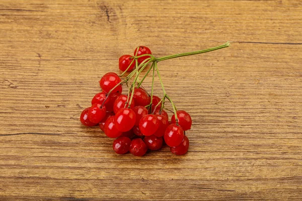 Röda Söta Goda Och Saftiga Viburnum Bär — Stockfoto