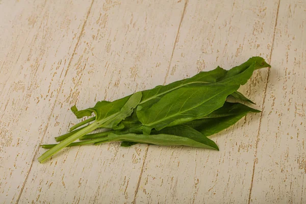 Aroma Alcateia Ervas Frescas Azeda Verde — Fotografia de Stock