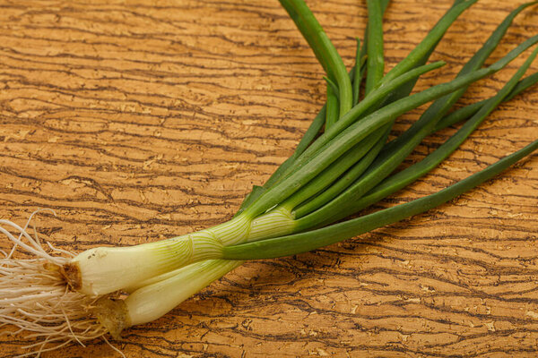 Young fresh tasty green onion seasoning