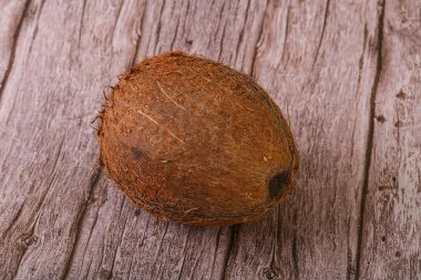 Arka planda tropik kahverengi hindistan cevizi izole edildi