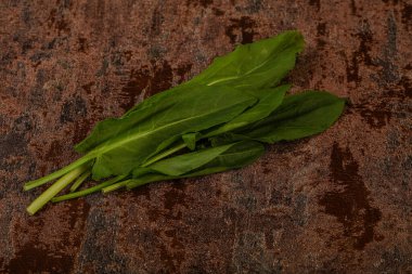 Aroma Taze yeşil kuş sürüsü