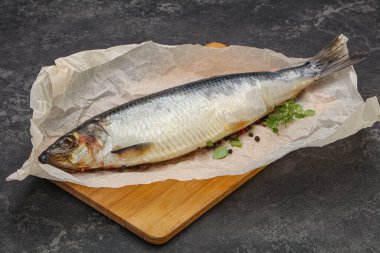 Biber ve baharatlı tuzlu ringa balığı.