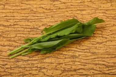 Aroma Taze yeşil kuş sürüsü