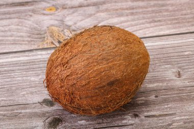 Arka planda tropik kahverengi hindistan cevizi izole edildi