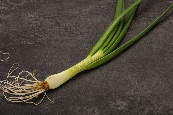 Jonge Verse Smakelijke Groene Kruiden — Stockfoto