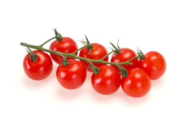 Tomates Mûres Savoureuses Sur Branche — Photo