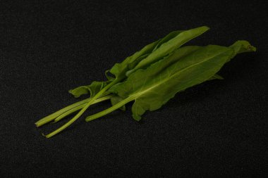 Aroma Taze yeşil kuş sürüsü